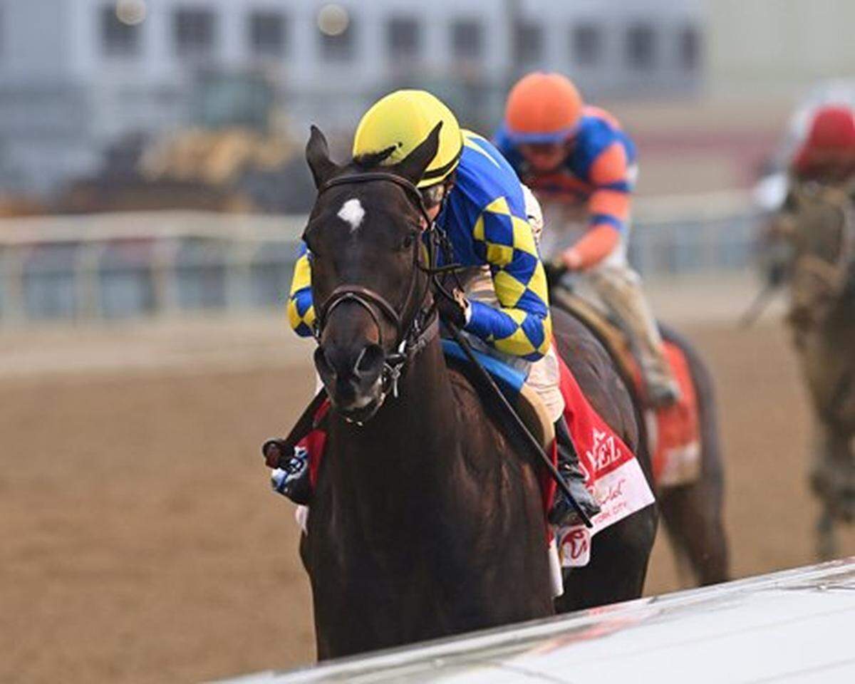 Rodriguez, trained by Bob Baffert, will run in Saturday’s Kentucky Derby at Churchill Downs after winning the Wood Memorial on April 5 in New York.