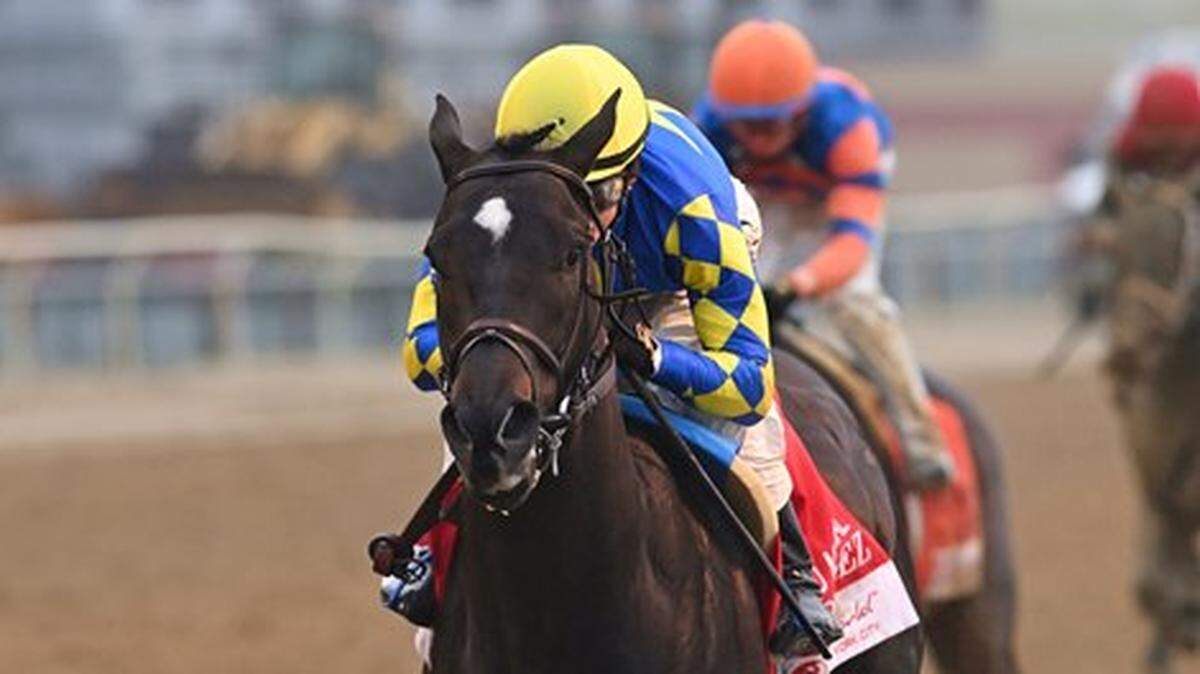 Who are the fastest horses for the 151st running of the Kentucky Derby?