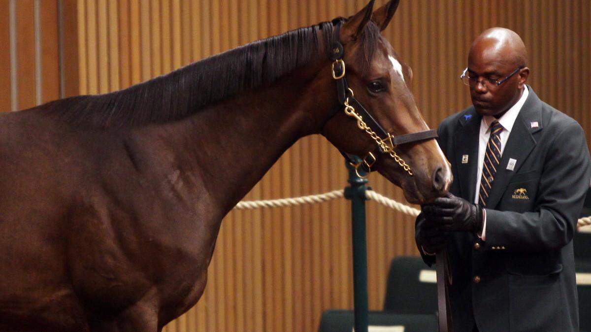 A son of Empire Maker, held by J.R. Guy, was sold for $1.1 million to Shigeyuki Okada's Big Red Farm of Japan. The bay colt out of multiple graded stakes winner Lu Ravi was consigned by Woods Edge Farm.  