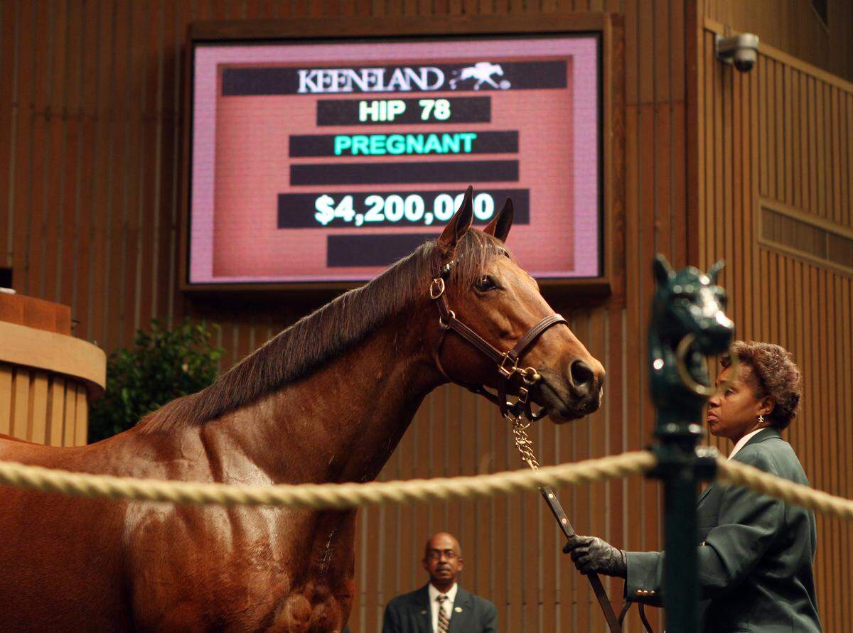 Lisa Shelbourne, holding Christmas Kid in 2011, is the only woman who has worked inside the auction ring at Keeneland. She has been wearing the green jacket since September 2002.