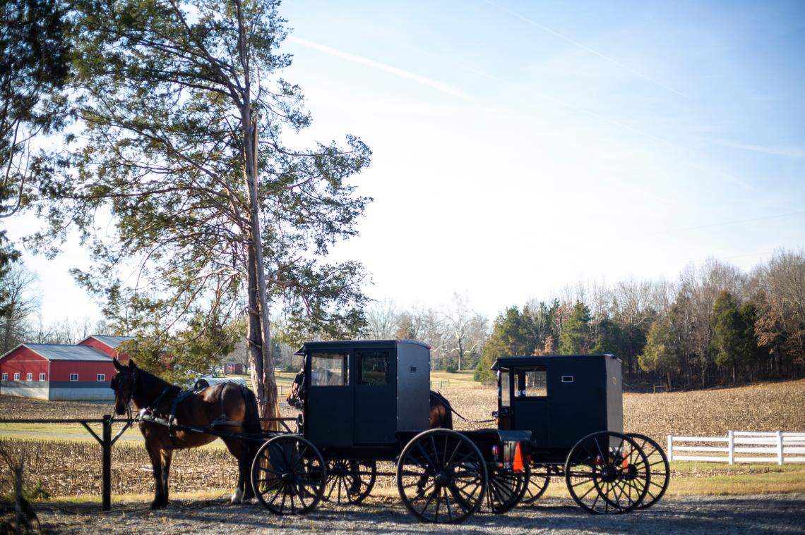 Horse and buggies parked outside the WeCare Clinic in Pembroke, Kentucky, in early December.