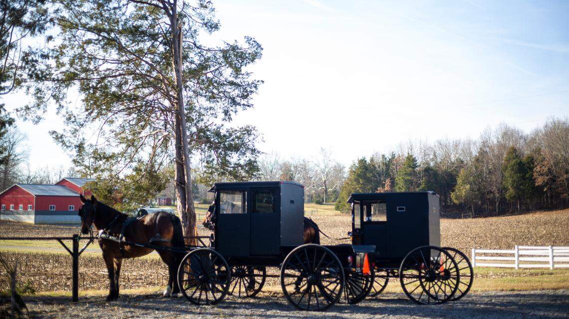 Horse and buggies sit parked in Pembroke, Ky., in this file photo. Here’s what to know about the state laws on passing them while driving Kentucky roads.