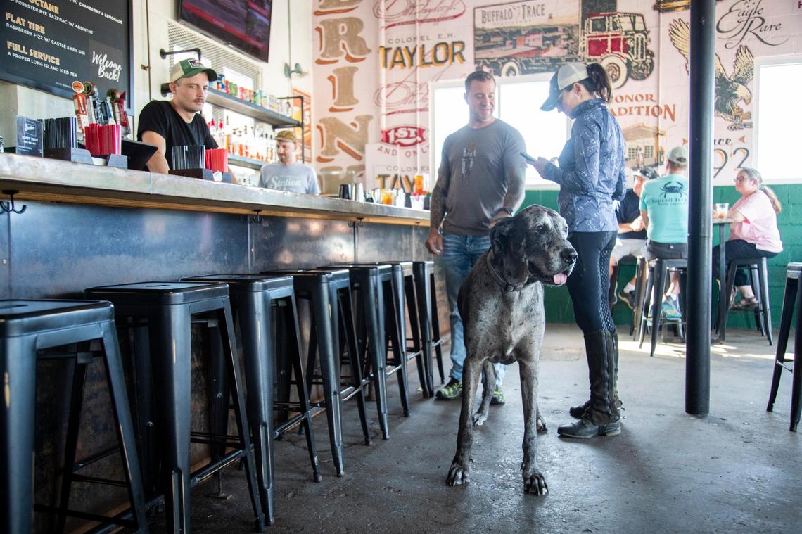 Ryan and Dixie Kendall with their Great Dane Harley at The Service Station, one of several pet-friendly restaurants and bars around Lexington.