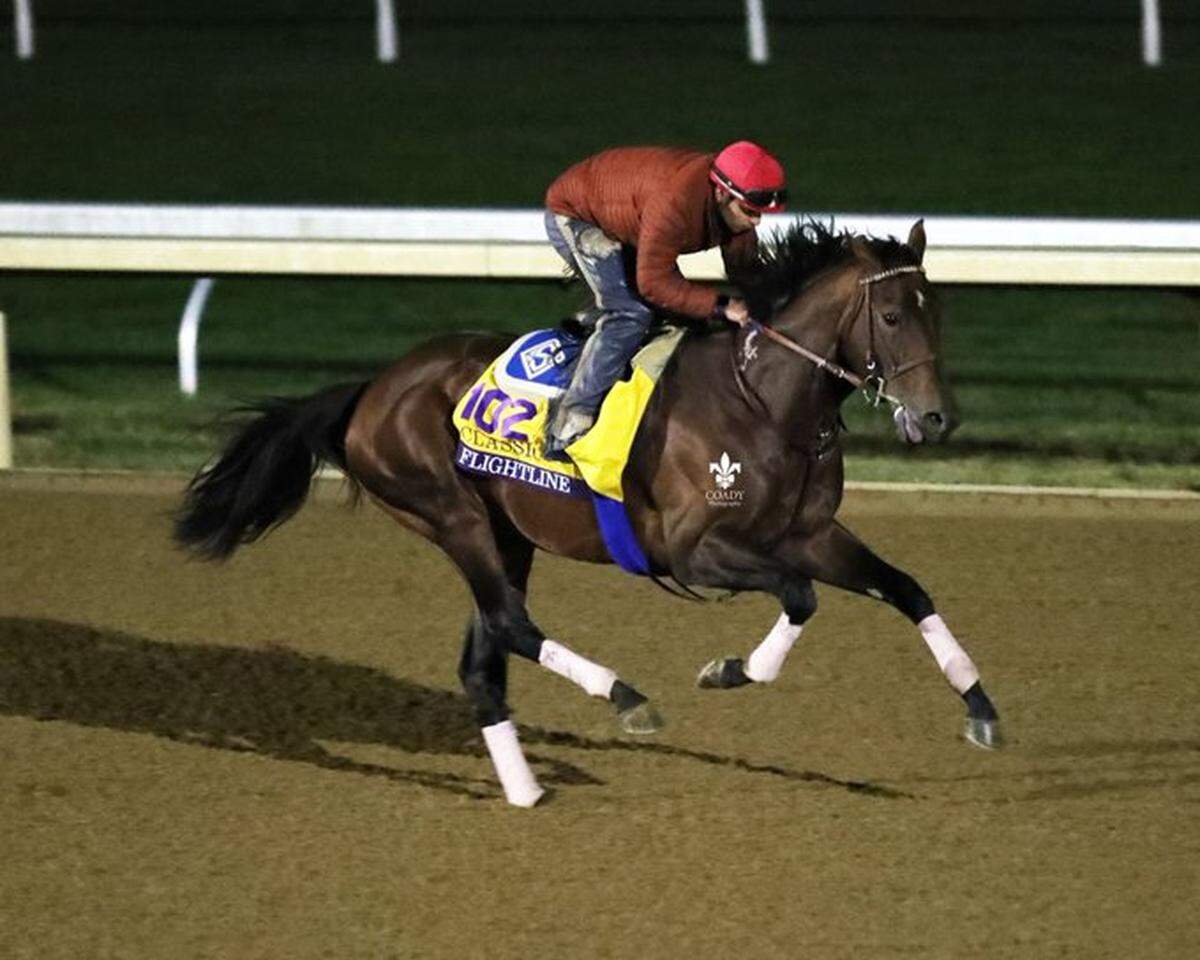 Probable Breeders’ Cup Classic favorite Flightline took to the track at Keeneland Race Course in Lexington for a gallop last week in preparation for this week’s $6 million race.