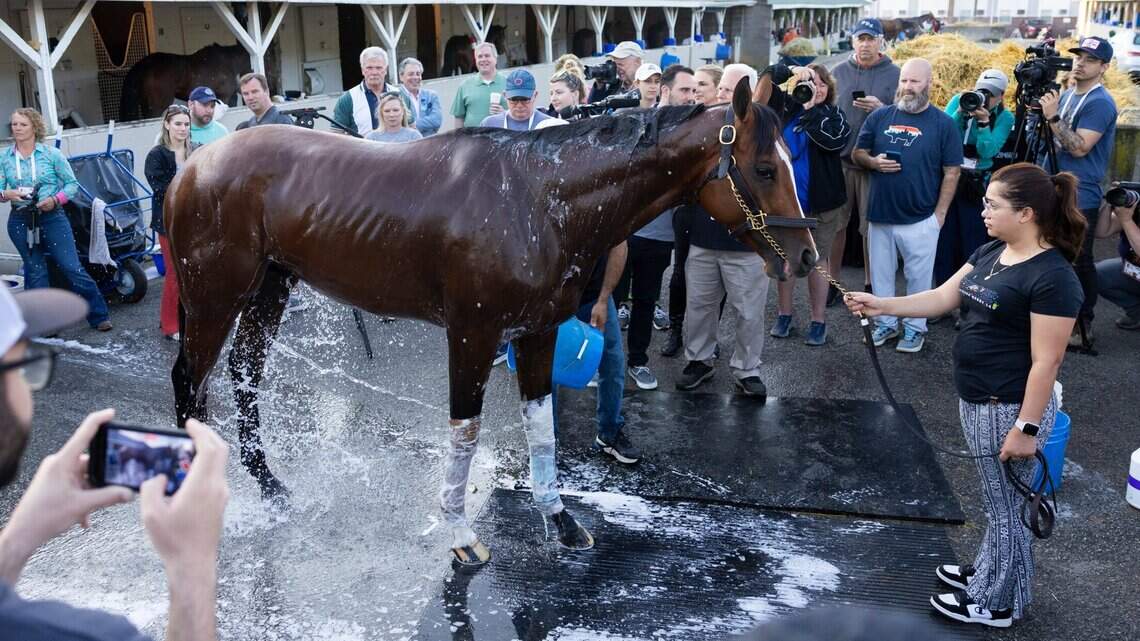 Kentucky Derby winner Mystik Dan continuing on to the Preakness far from a sure thing