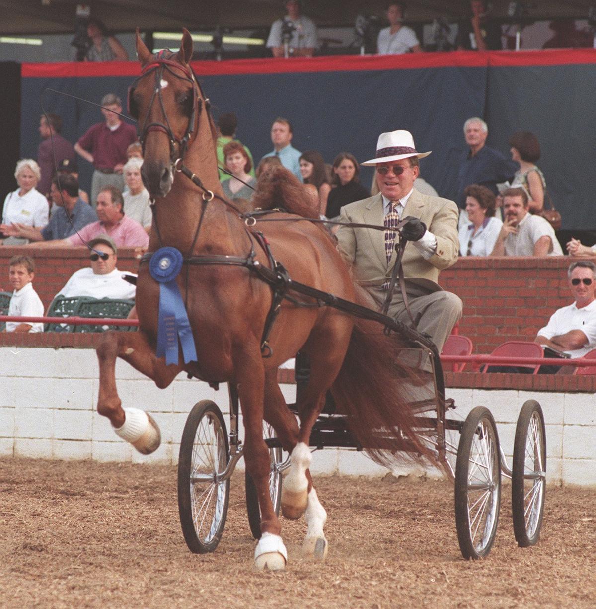 Revival driven by actor William Shatner, took a blue ribbon in the Fine Harness Amateur Gentlemen to Drive at the 1998 Lexington Junior Horse League Horse Show held at The Red Mile in Lexington. The “Star Trek” actor has had ties to the Central Kentucky horses since the mid-1980s.