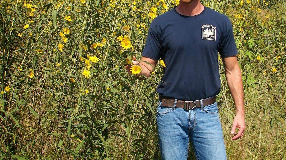 Roundstone Native Seed co-founder John Seymour in a field of Maximilian sunflowers