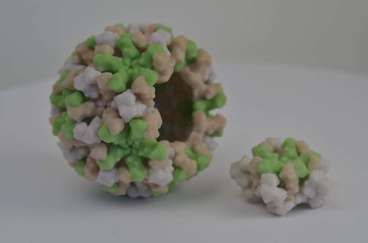 A 3D print of a types of norovirus. Picture a 3D model of a germ with pink and green pieces. This foodborne illness is highly contagious, triggers vomiting and diarrhea and can be spread for up to two weeks after symptoms resolve.