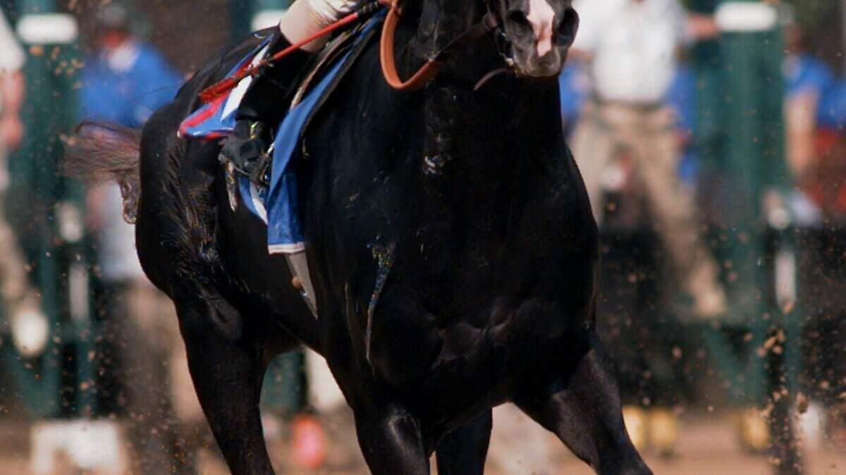 Obit Unbridled's Song Horse Racing