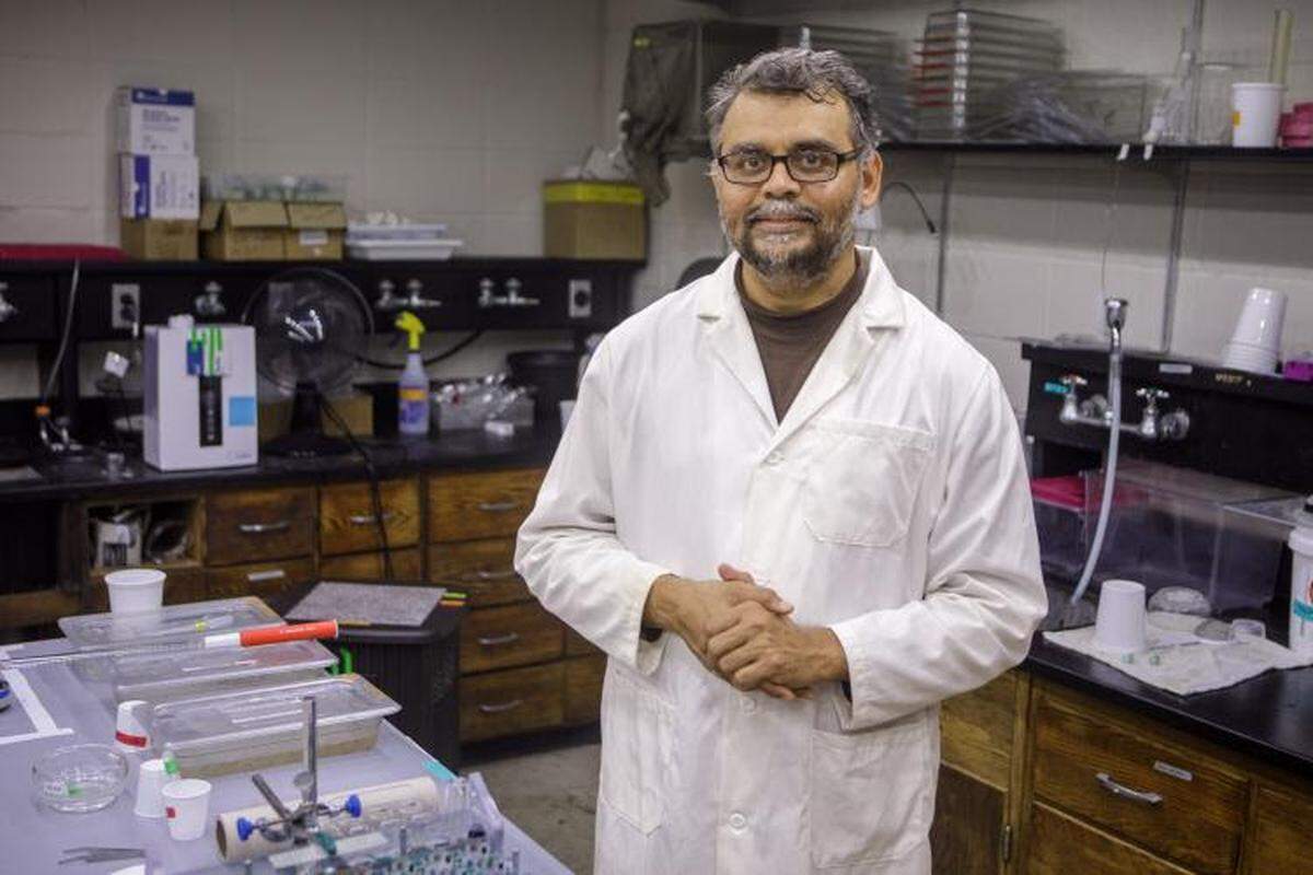 UK entomologist Zainulabeuddin Syed hopes to use one of the ticks’ biggest attributes against it. Photo by Matt Barton