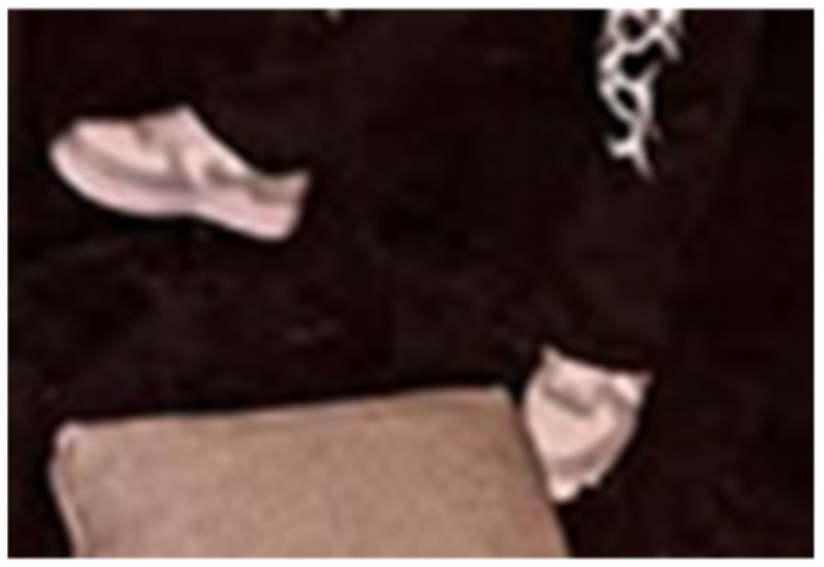 A close-up of an Instagram photo appears to show the suspect of a fatal bank robbery in Berea, Ky., wearing the sames shoes that were worn in the robbery.
