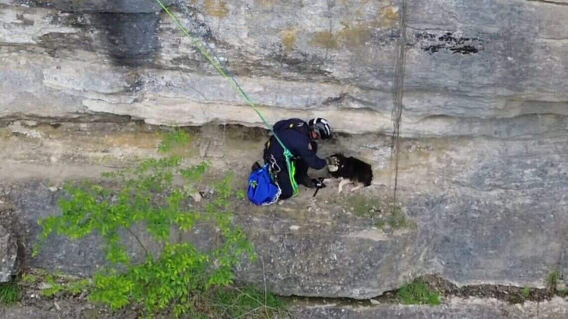 Dog rescued from 100-foot cliff overlooking Kentucky River