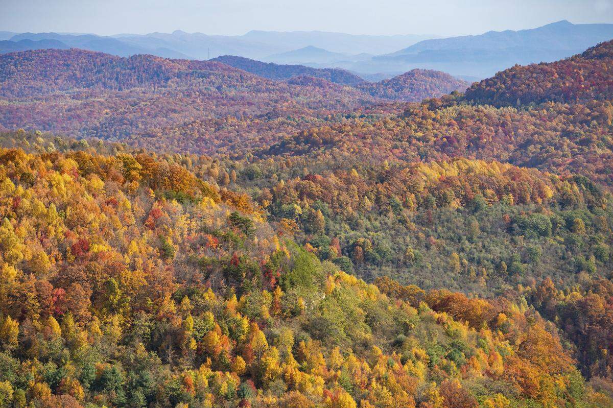 An area of more than 54,000 acres in southeastern Kentucky was placed under a conservation easement in late 2023 to provide permanent public access and protection from development.