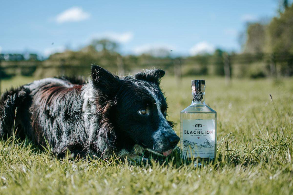 BLACKLION Vodka, which is made in the Cotswolds in the United Kingdom from sheep’s milk whey, is launching in Lexington, Kentucky.