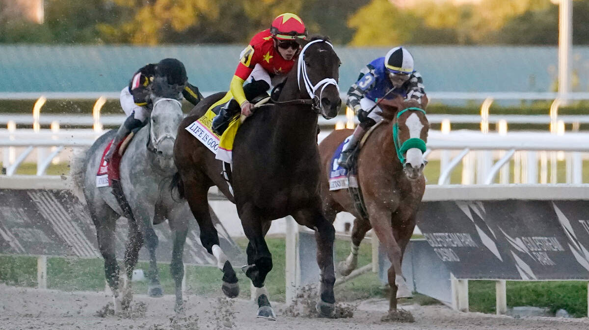 Life Is Good leads Knicks Go, left, and Stilleto Boy, right, to the finish line in winning the Pegasus World Cup Invitational last January at Gulfstream Park. Life Is Good is the 6-5 morning-line favorite for Saturday’s Whitney Stakes at Saratoga.