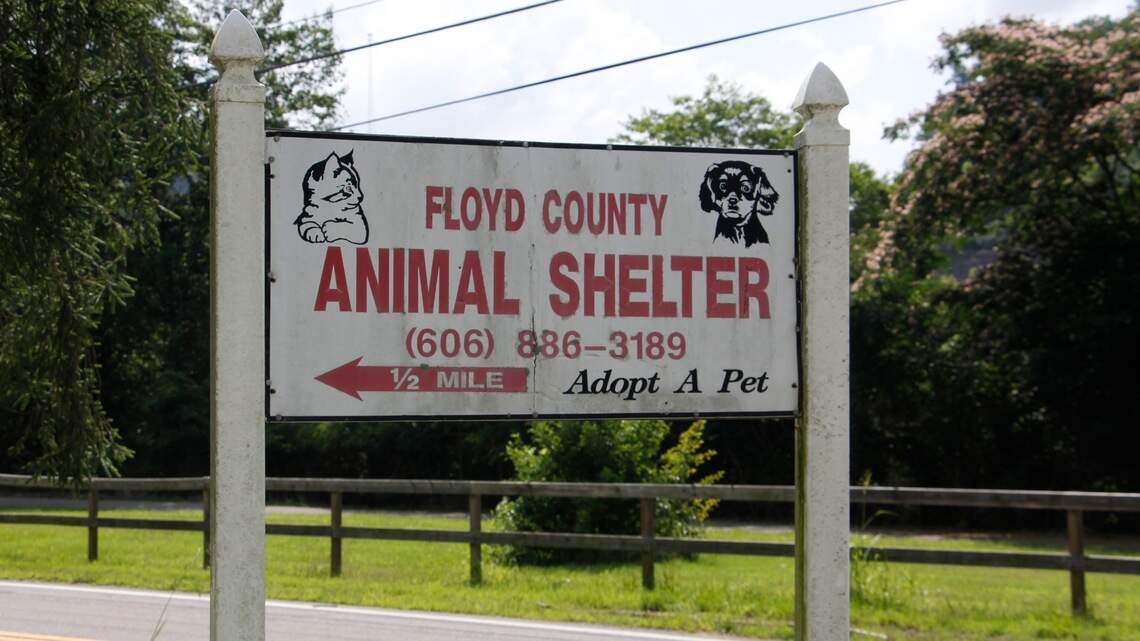 EKY animal shelter fights online allegations as fundraising hangs in the balance