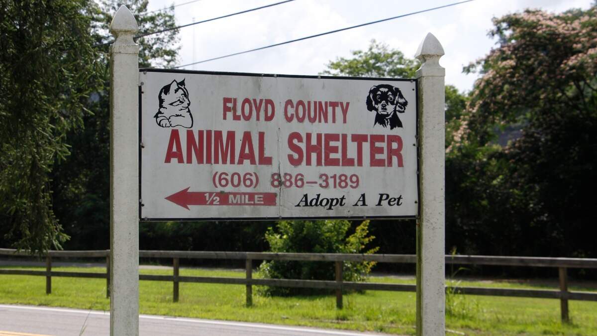 The Floyd County Animal Shelter sent a cease and desist letter to a former employee who accused shelter employees of animal mistreatment, workplace bullying and poor management.