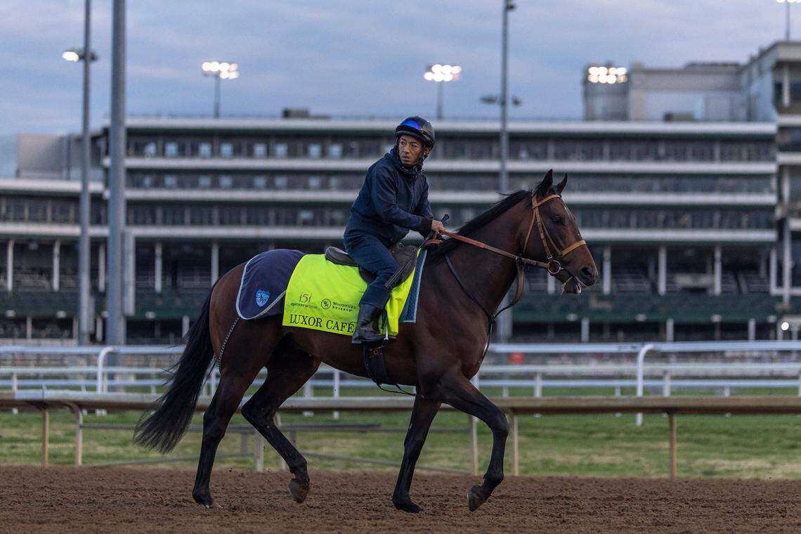 Kentucky Derby 151 contender Luxor Cafe takes to the track for morning workouts at Churchill Downs in Louisville this week.