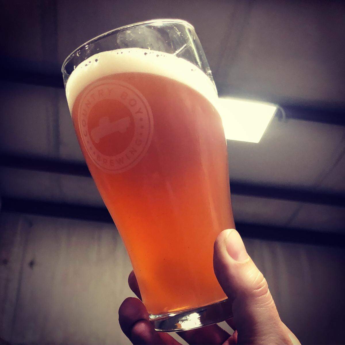 Hillbilly Hustle Lager was inspired by the debut novel by Apollo Pizza co-owner Wes Browne. Country Boy brewers rejected hemp beers and pizza-flavored beers and went with lemon-blackberry flavored instead, as something that would go well with pizza. It’s been a big hit.