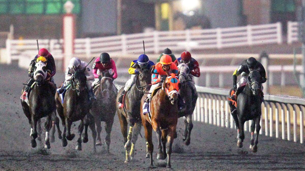 Somelikeithotbrown scored a win in the Jeff Ruby Steaks at Turfway Park in March, earning 20 points on the Road to the Kentucky Derby leaderboard.
