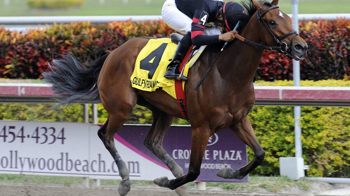 Gulfstream Park Horse Racing