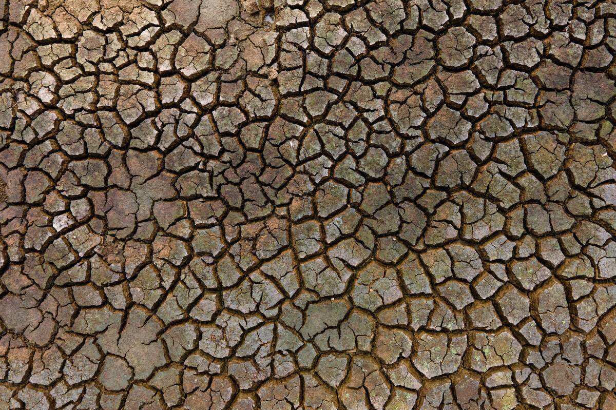 The lake bed of the primary reservoir in Marion, Ky., has dried up after the reservoir was drained because of a levee failure. Kentucky Gov. Andy Beshear has declared a state of emergency for the community, and last week, the city estimated it had about a 10-day supply of water remaining. 