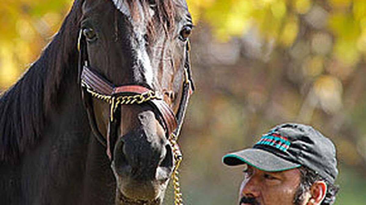 Groom Mario Espinosa walks Zenyatta around her paddock on the backside at Churchill Downs. Zenyatta, who will be trying for her third Breeders' Cup win Saturday, and second straight Classic victory arrived at the Louisville track Tuesday.