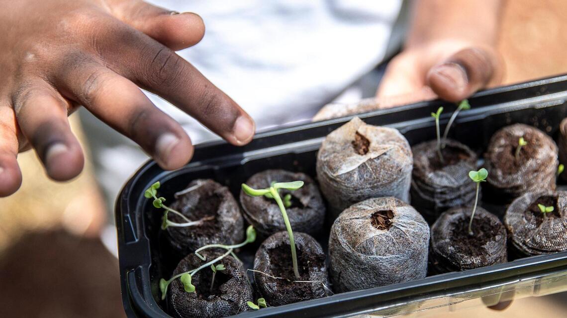 How this gardening program is cultivating a new generation of Black farmers