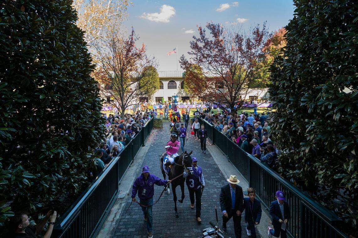 And Tell Me Nolies with Ramon Vazquez up exits the paddock on the way to the track for the Friday’s Breeders’ Cup Juvenile Fillies.