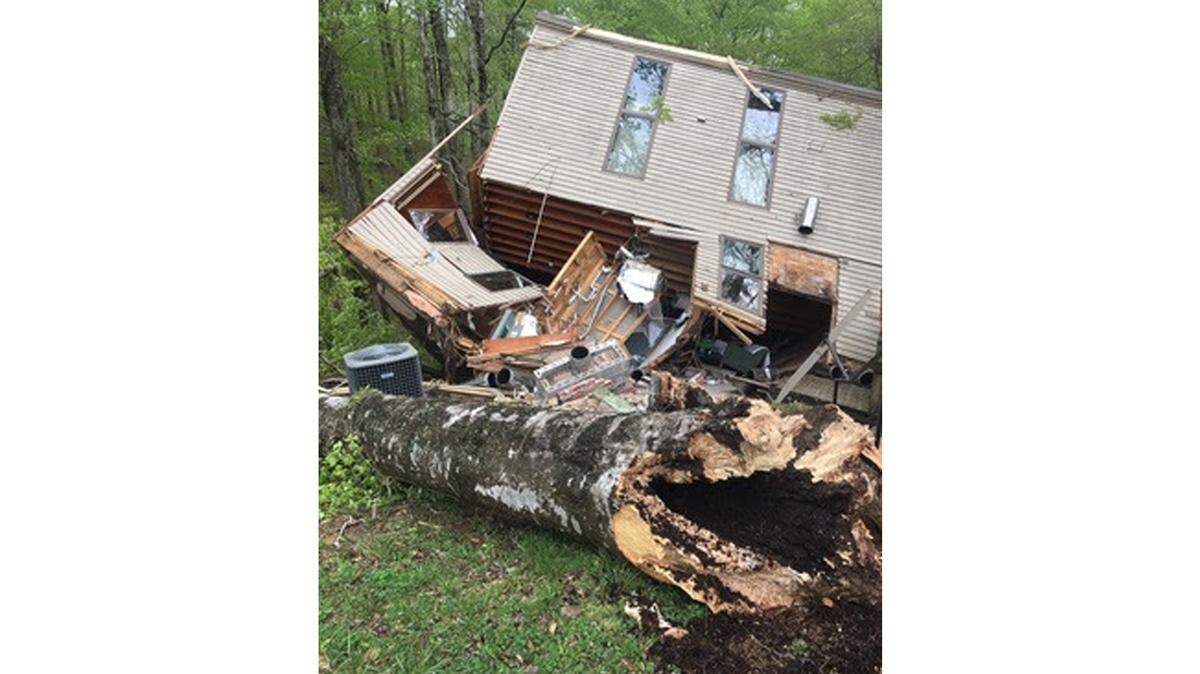 A large tree fell on a cabin at Lake Cumberland State Resort Park in Russell County on April 14, 2019, causing significant damage.