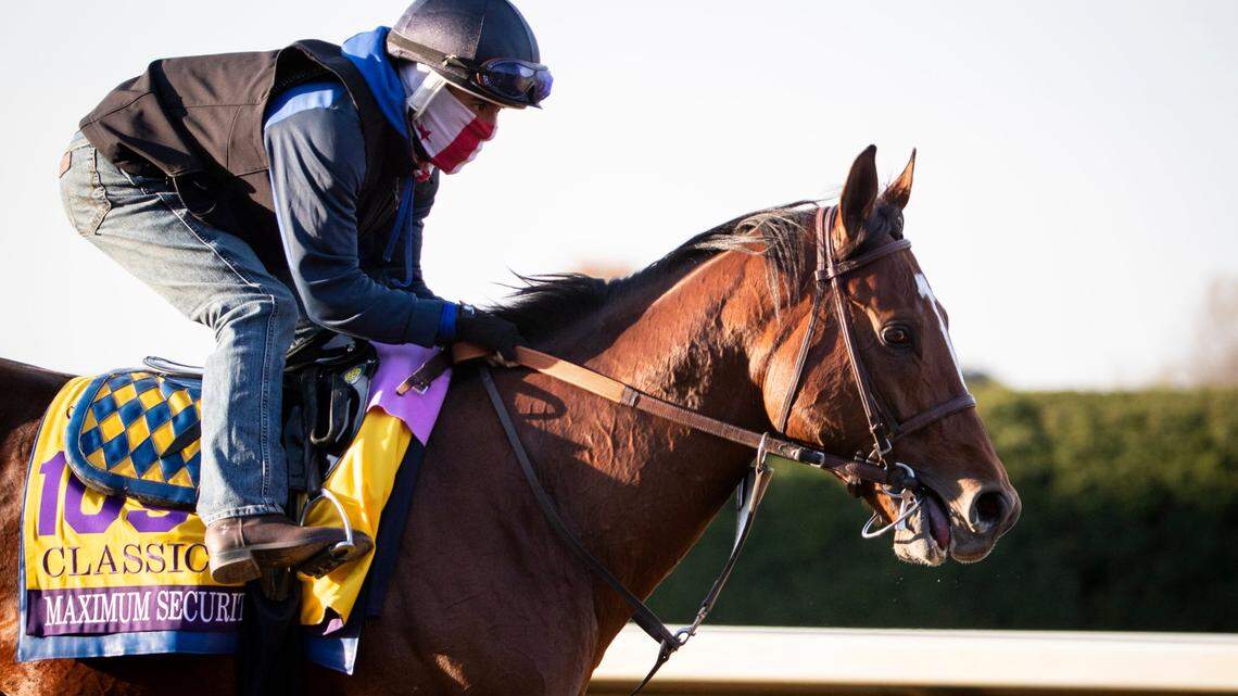 Who’s going to win the Breeders’ Cup Classic? A closer look at the star-studded field.