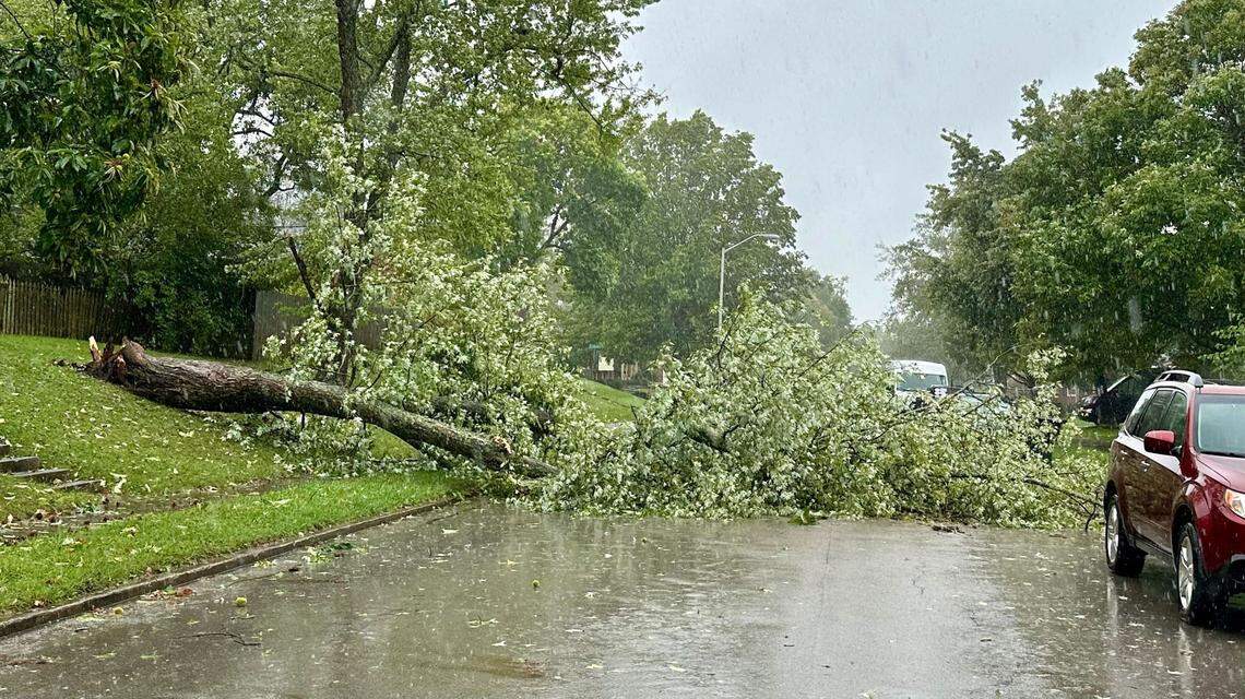 A downed tree blocks Coldstream Drive in Lexington’s Gainesway neighborhood as the remnants of Hurricane Helene hit Lexington on Friday, Sept. 27, 2024.