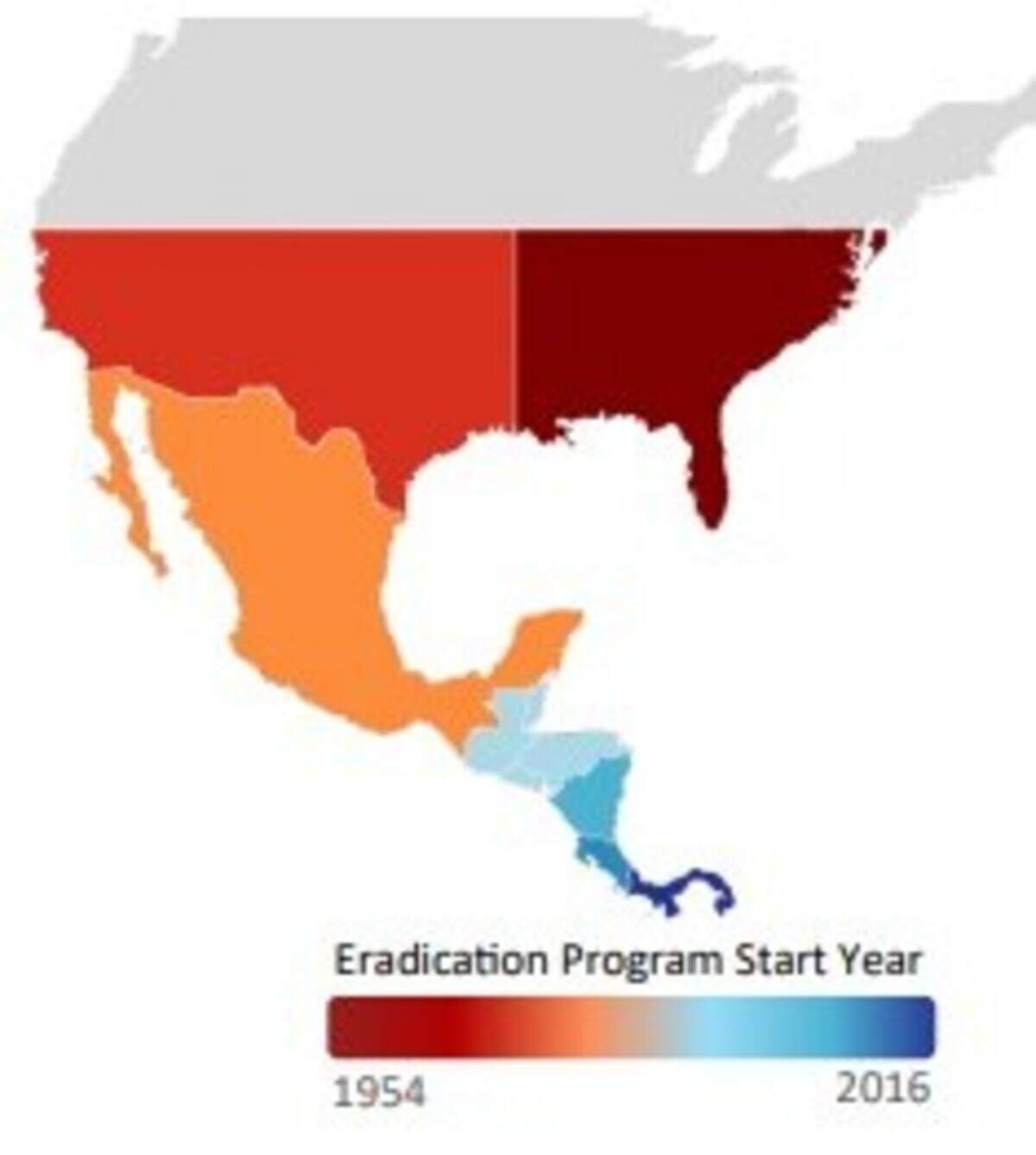 New World screwworm eradication programs began in the United States in the 1950s seeing success in the Southeast in 1959. The success led to the adoption of the eradication program in other regions.