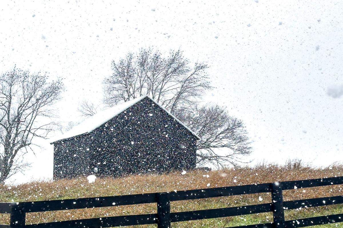 Snow falls near Russell Cave Road in Lexington on Thursday, Nov. 21, 2024. The snow is the first of the season for Central Kentucky. 