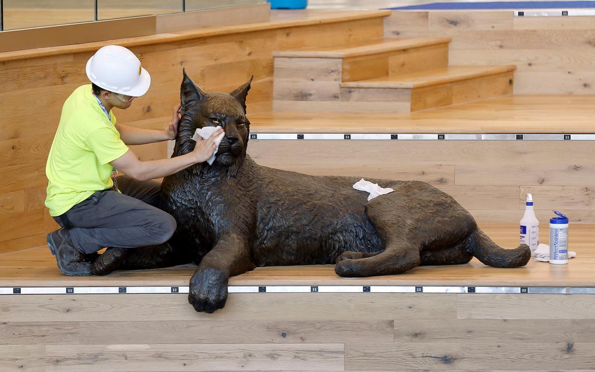 Anthony Silva cleaned a wildcat statue on one of the landings in the Social Staircase in the new $201,250,000.00 University of Kentucky Student Center on Avenue of Champions. Most of the 378,000 square foot building will be open on Monday.