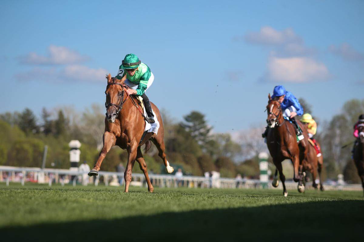 In Italian, a 5-year-old mare who won last spring’s Jenny Wiley Stakes at Keeneland, is among the most accomplished horses racing during opening weekend of the Fall Meet. She’s the defending champion and 4-5 favorite in Saturday’s First Lady Stakes, a prep race for the Breeders’ Cup Filly and Mare Turf.
