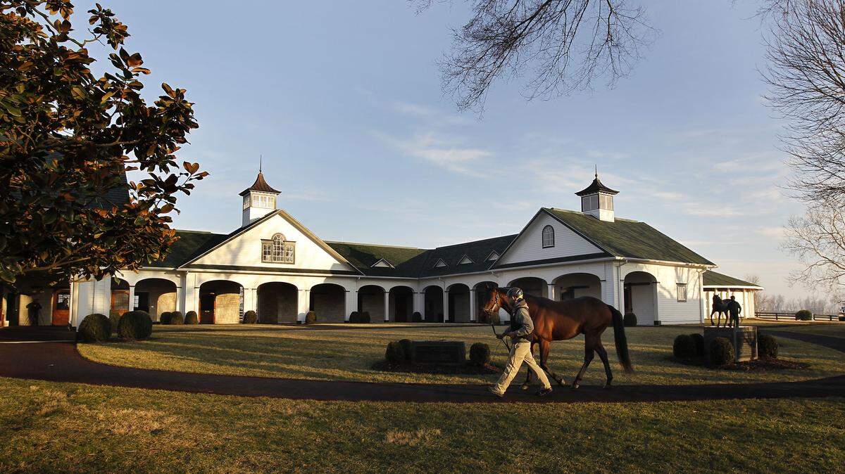 Alex Macias led Notional back to his stall after a breeding session at Spendthrift Farm earlier this month.