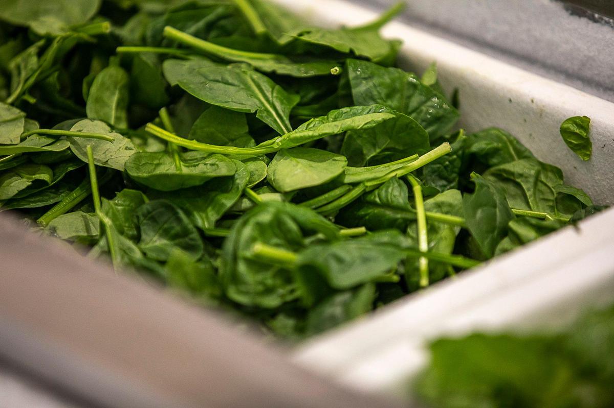 Spinach from Elmwood Stock Farm is offered at a salad bar at The 90 on the University of Kentucky campus. Because of contract requirements, Aramark has increased sourcing of locally grown produce.