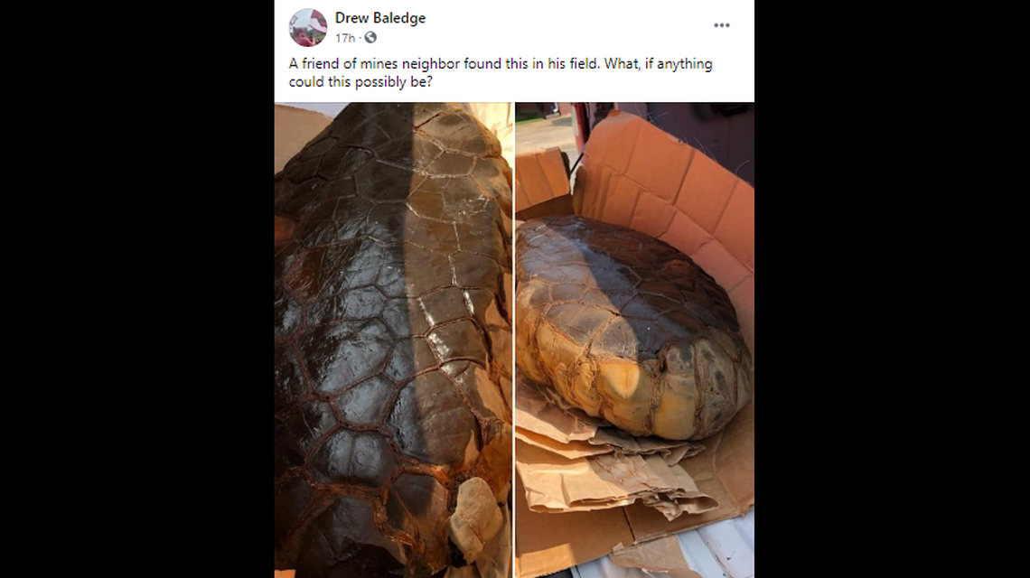 What could this be? It was found in Arkansas and photos posted on Facebook in hopes of finding an answer.