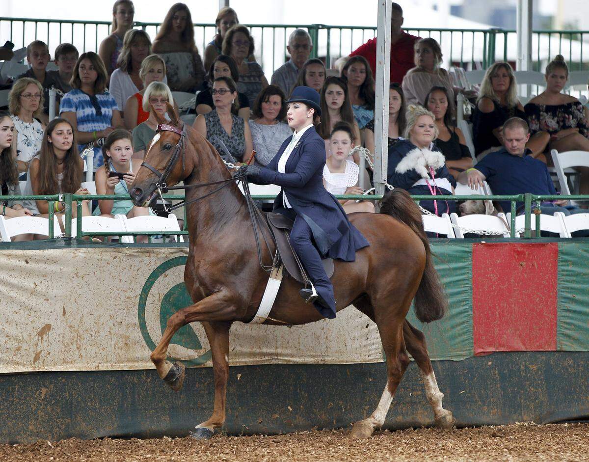 Danielle Navarro and her horse Tommy Bahama competed at the Lexington Junior League Charity Horse Show in 2017. This year’s event is through Saturday at the Kentucky Horse Park.