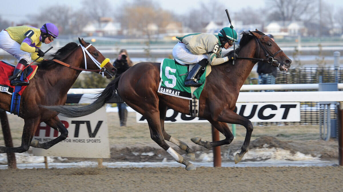 Samraat shifted from his front-running style to edge Uncle Sigh late in the Grade III Withers Stakes on Feb. 1.