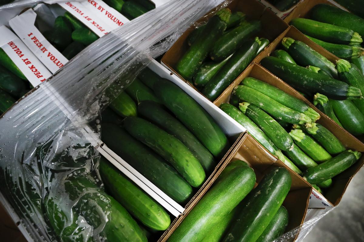 15 pallets of zucchinis and cucumbers sit in a refrigerator at at God’s Pantry Food Bank in Lexington. The produce was delivered through the Farms to Food Banks program which distributes locally grown food throughout the commonwealth.