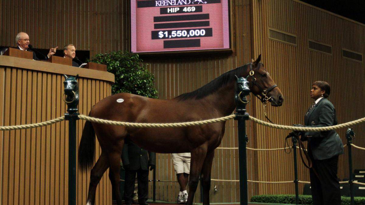 Hip No. 469, a Valkyre-consigned Bernardini colt, sold to Coolmore Stud for $1.55 million at the Keeneland September yearling sale on Wednesday during a third session that posted across-the-board gains.