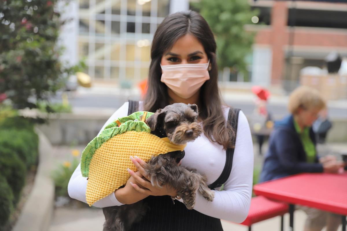 Layla the dog donned her taco costume for the Friends and Family Night event at Bandido Taqueria Mexicana, Lexington’s first Southern California-style taqueria, on Wednesday evening, Sept. 23, 2020. The restaurant, located at 535 S. Upper St., officially opens to the public on Sept. 25.