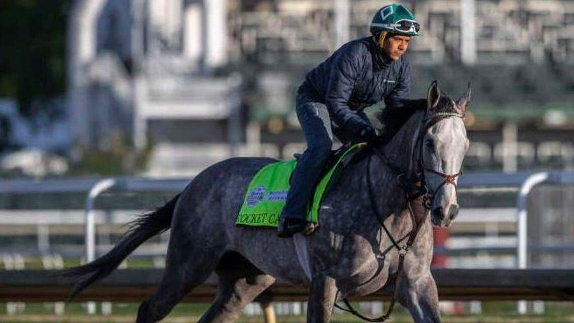 Looking to win big money on the Kentucky Derby? Here are the best long shots to consider.