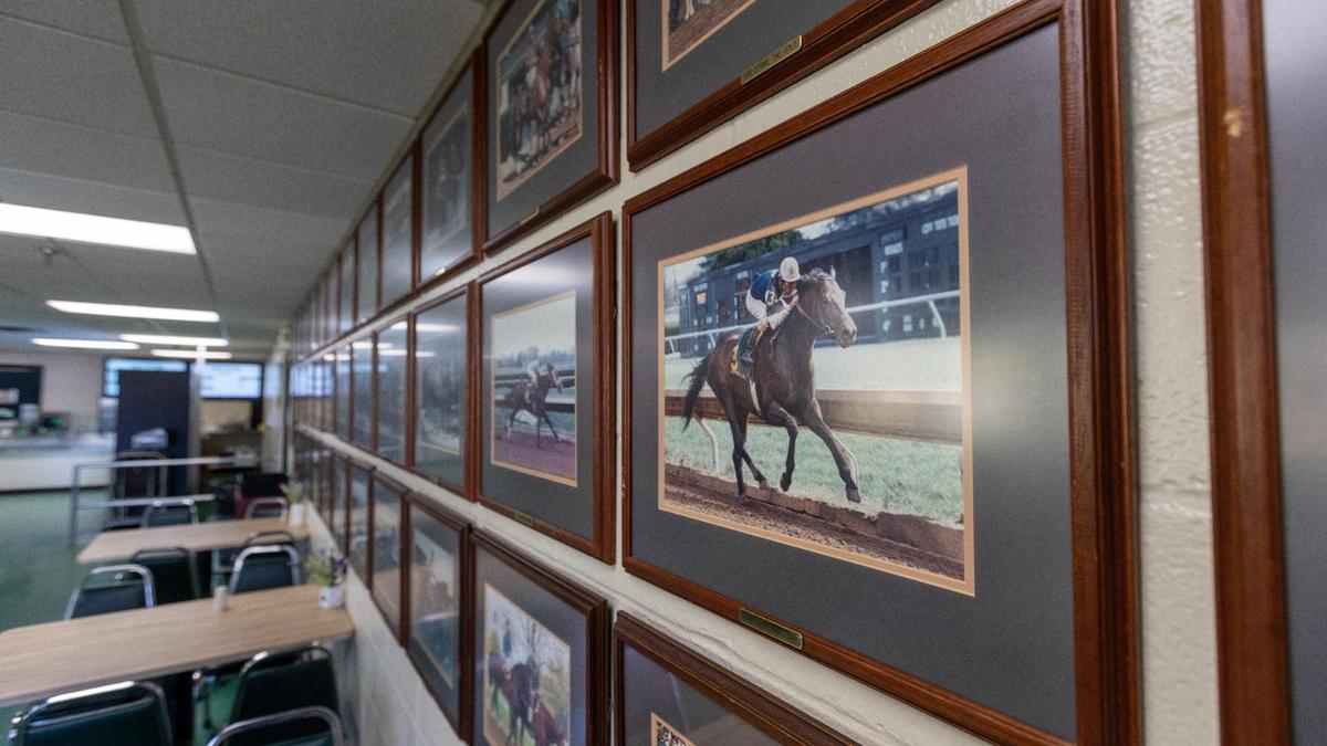A 1992 photo of Pleasant Tap racehorse hangs on a wall March 17 in the dining room at the Keeneland Track Kitchen. The dining room is walled with pictures of notable horses.
