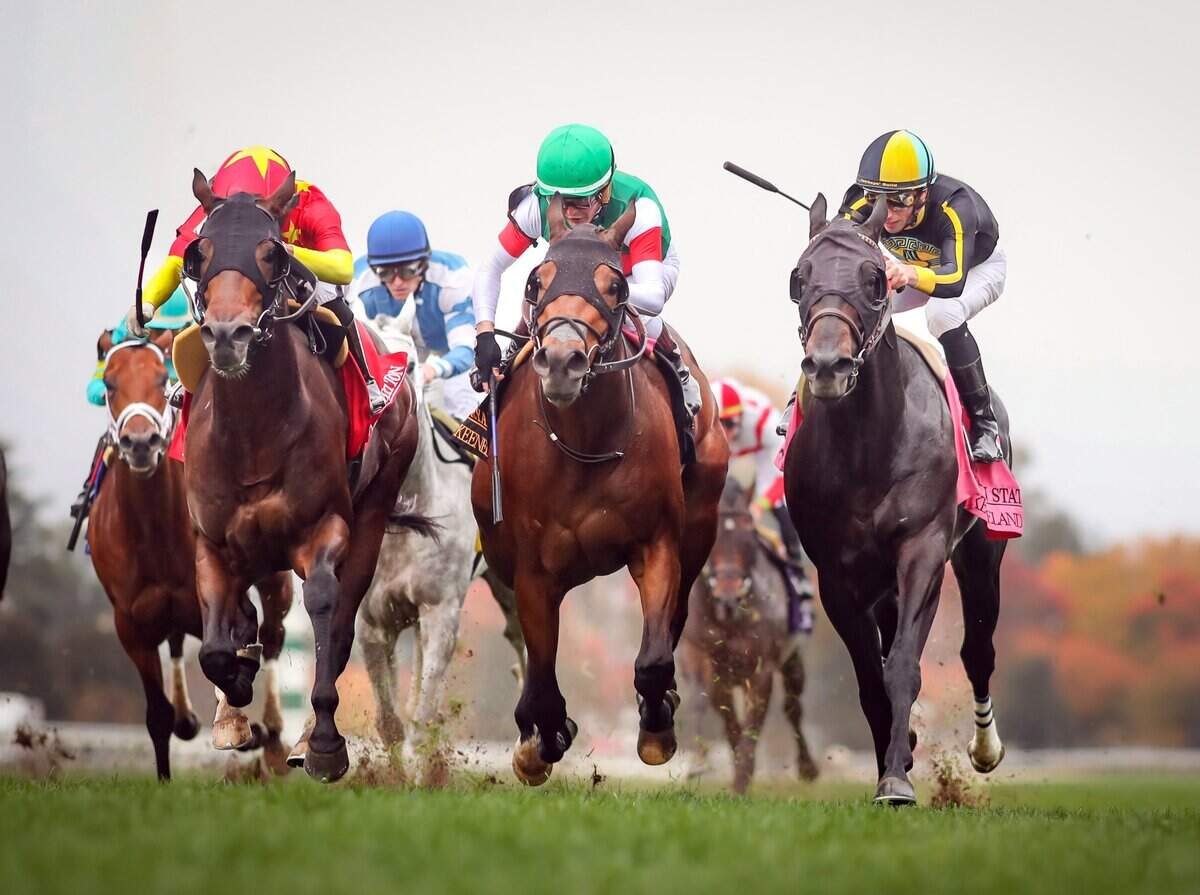 Runaway Storm, center, wins the Grade 3 Bryan Station Stakes (G3) at Keeneland on Oct. 28, 2023, at Keeneland.