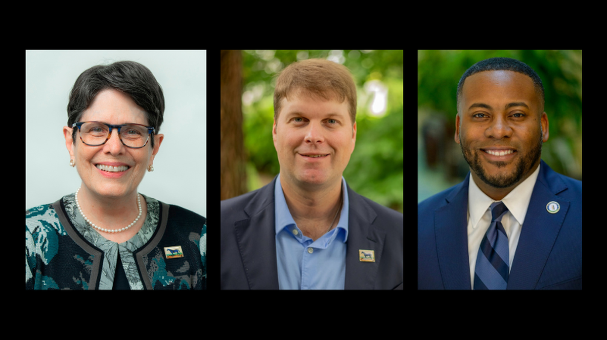 Lexington mayor’s race: Gorton’s opponents focus on her record on crime, housing