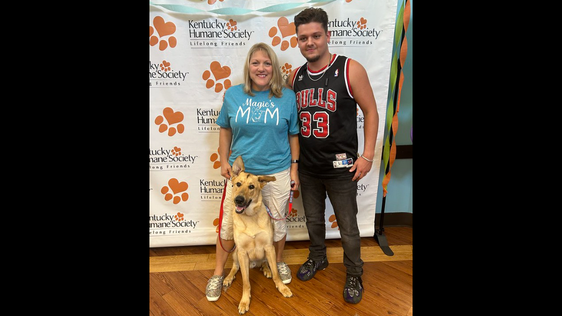 A German Shepherd named Magic was adopted seven months after being discovered shot in the head. 