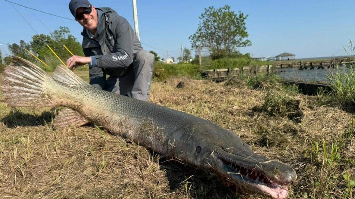Art Weston had the “most challenging catch” of his life, a 7-foot alligator gar.